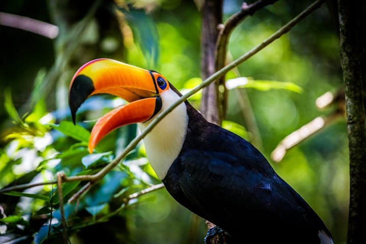 Bad List This Year Bad List This Year